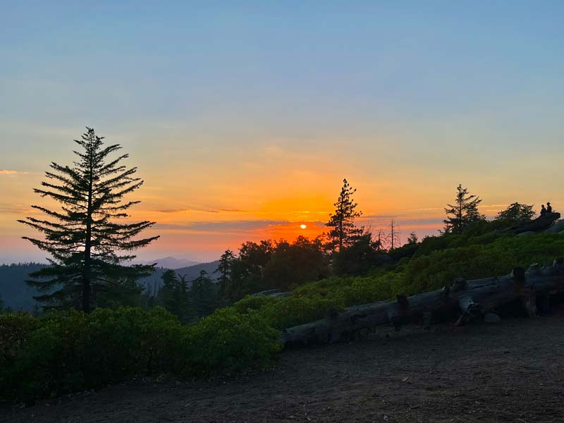 Sequoia Sunset